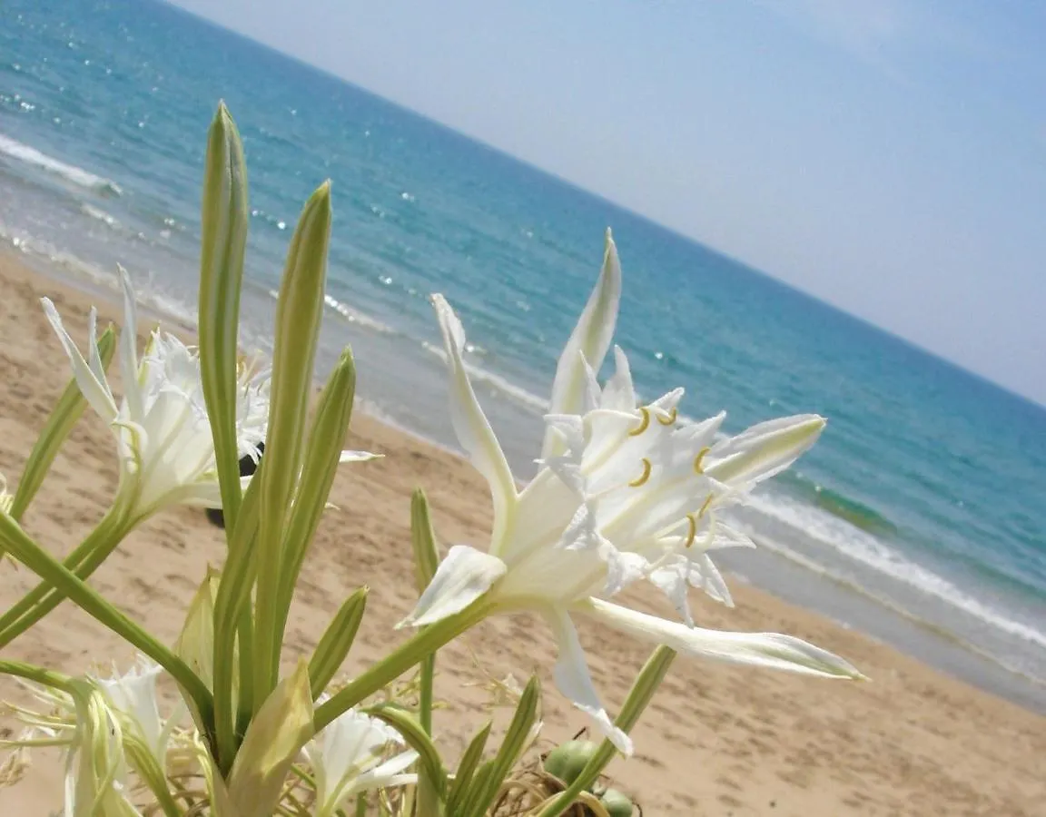 Apartment Sunshine Home Intero Appartamento Menfi